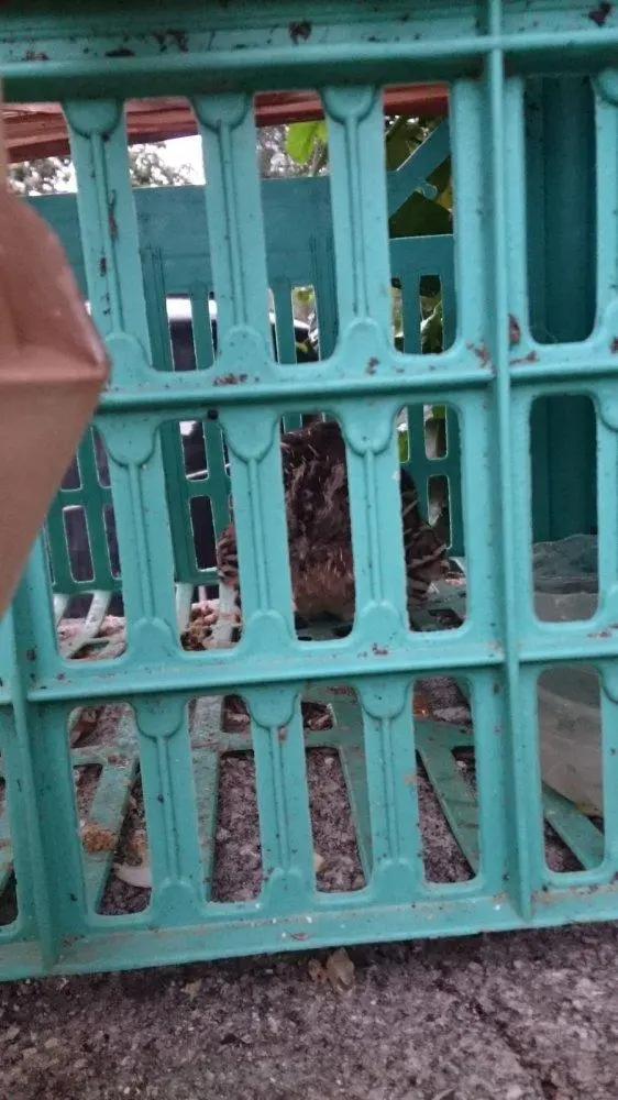 Συνημμένη εικόνα 35890