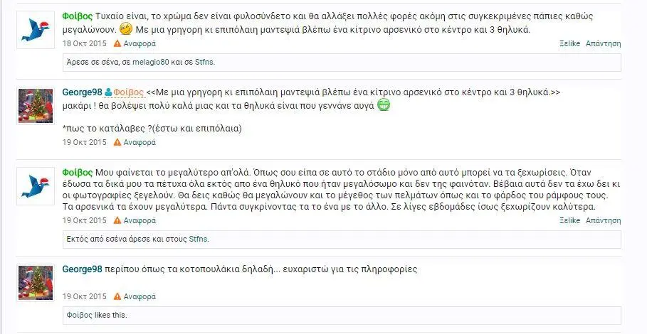 Συνημμένη εικόνα 37263