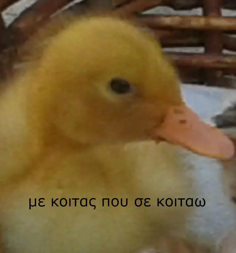 Συνημμένη εικόνα 37340