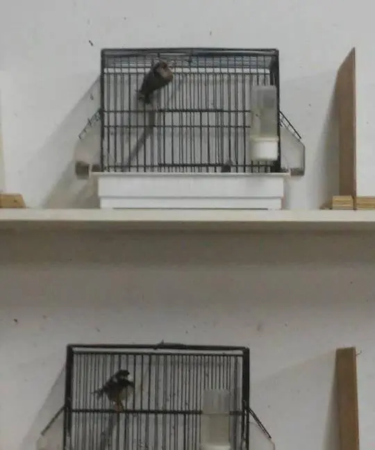 Συνημμένη εικόνα 38109