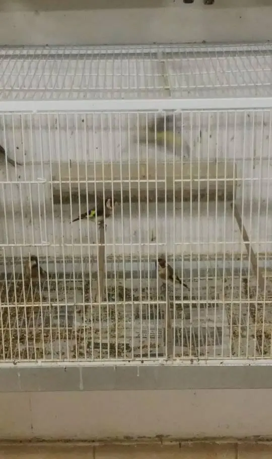 Συνημμένη εικόνα 38111