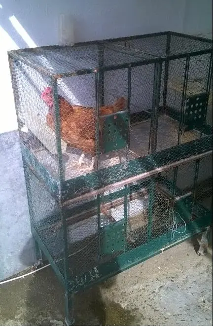 Συνημμένη εικόνα 38857