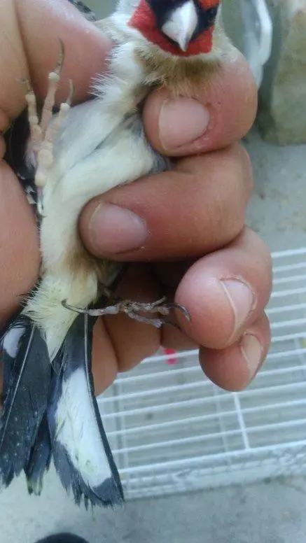 Συνημμένη εικόνα 40157