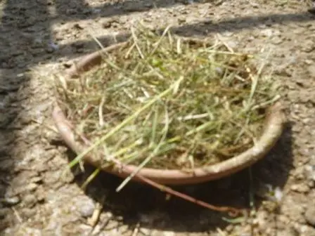 Συνημμένη εικόνα 40163