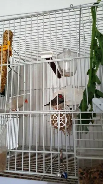 Συνημμένη εικόνα 40297