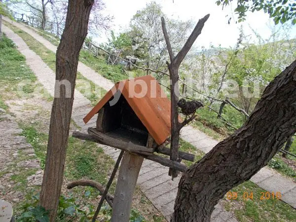 Συνημμένη εικόνα 40370