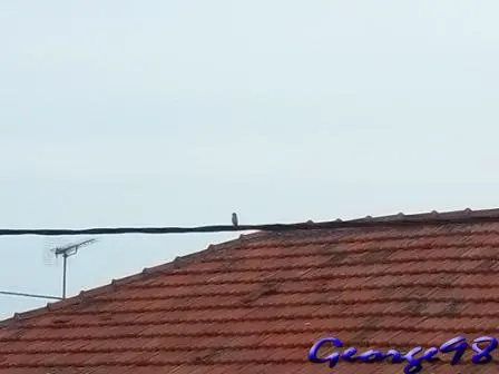 Συνημμένη εικόνα 41244