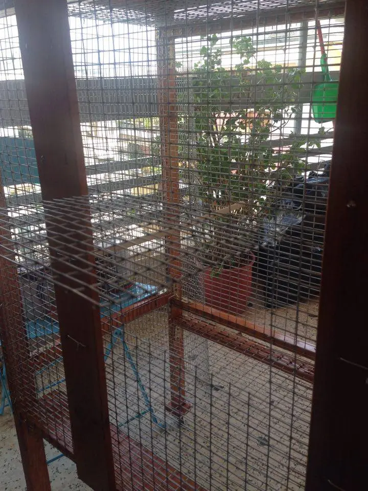 Συνημμένη εικόνα 41509
