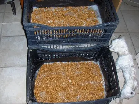 Συνημμένη εικόνα 41531