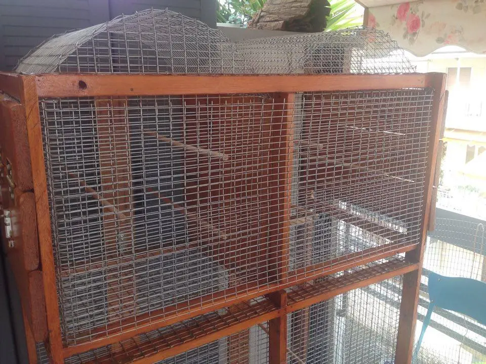 Συνημμένη εικόνα 41605