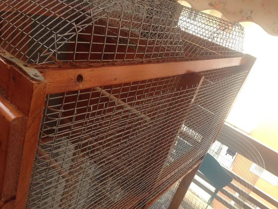 Συνημμένη εικόνα 41606
