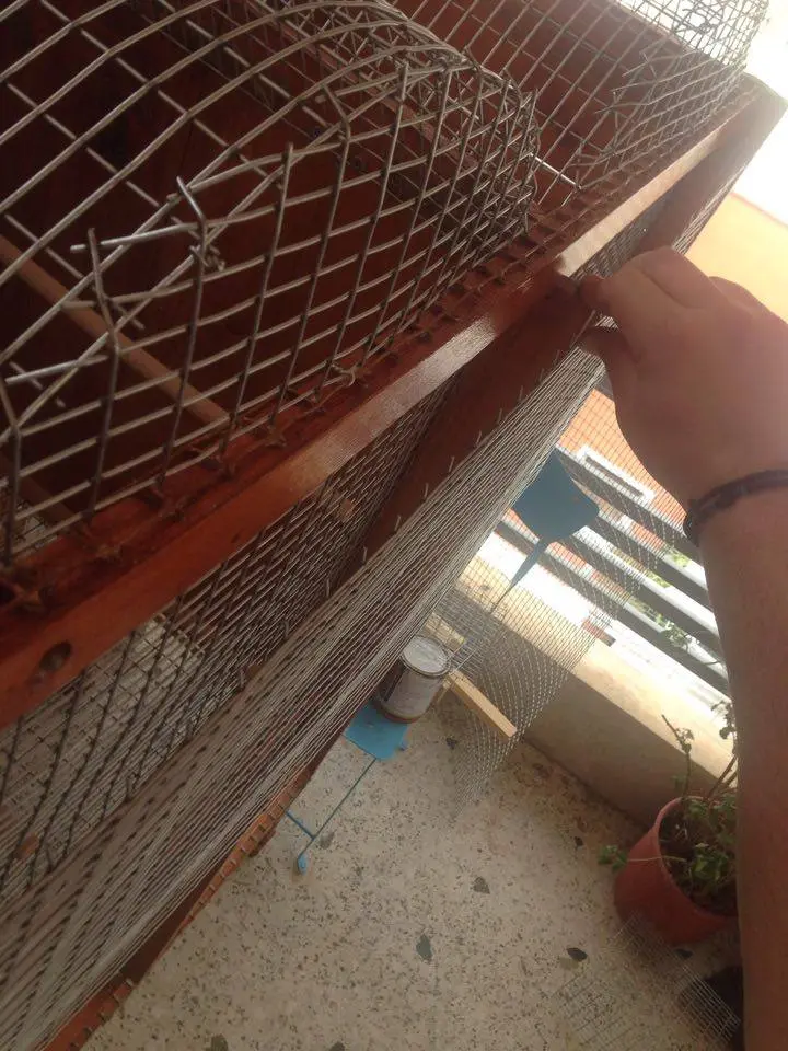 Συνημμένη εικόνα 41607