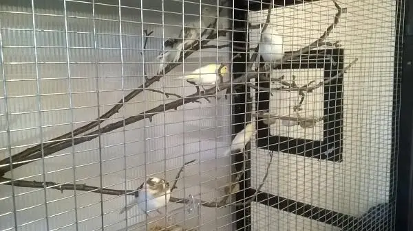 Συνημμένη εικόνα 41617
