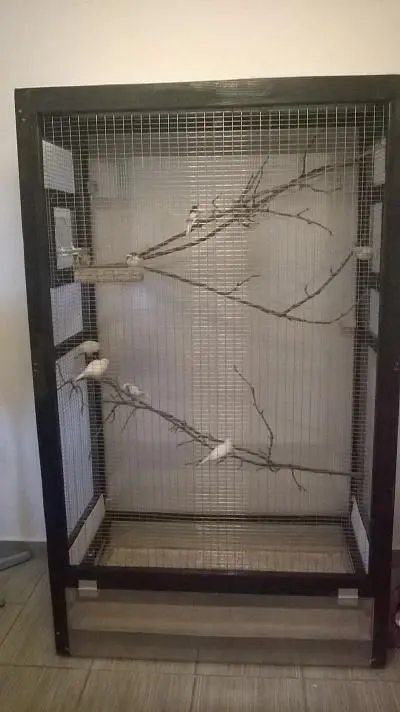 Συνημμένη εικόνα 41619