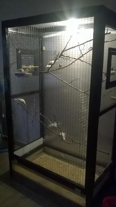 Συνημμένη εικόνα 41620
