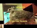 Συνημμένη εικόνα 41711