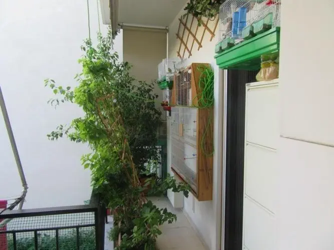 Συνημμένη εικόνα 43485