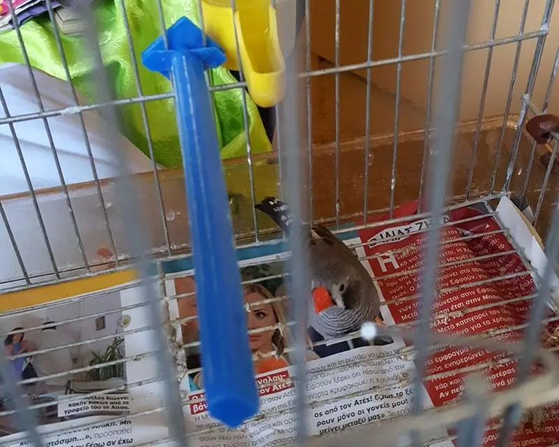 Συνημμένη εικόνα 44221