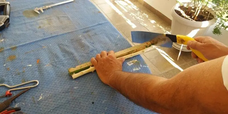 Συνημμένη εικόνα 44259