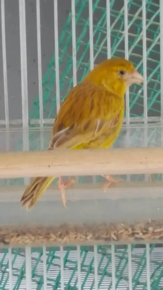 Συνημμένη εικόνα 44514
