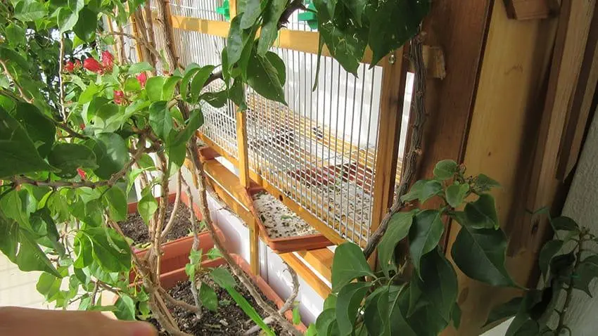 Συνημμένη εικόνα 45501