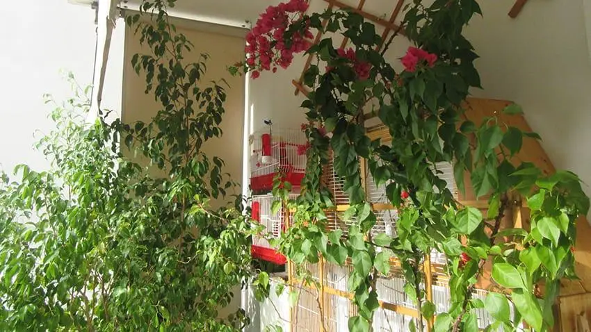 Συνημμένη εικόνα 45503