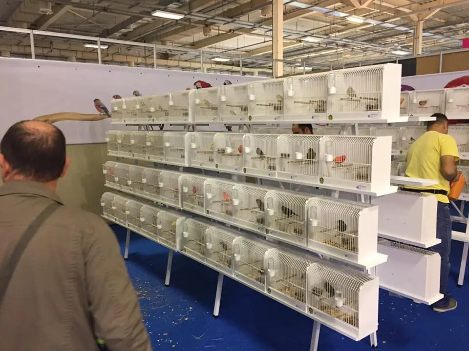 Συνημμένη εικόνα 45561