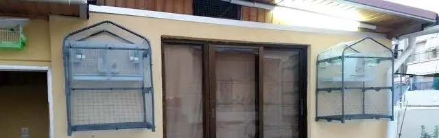 Συνημμένη εικόνα 45629