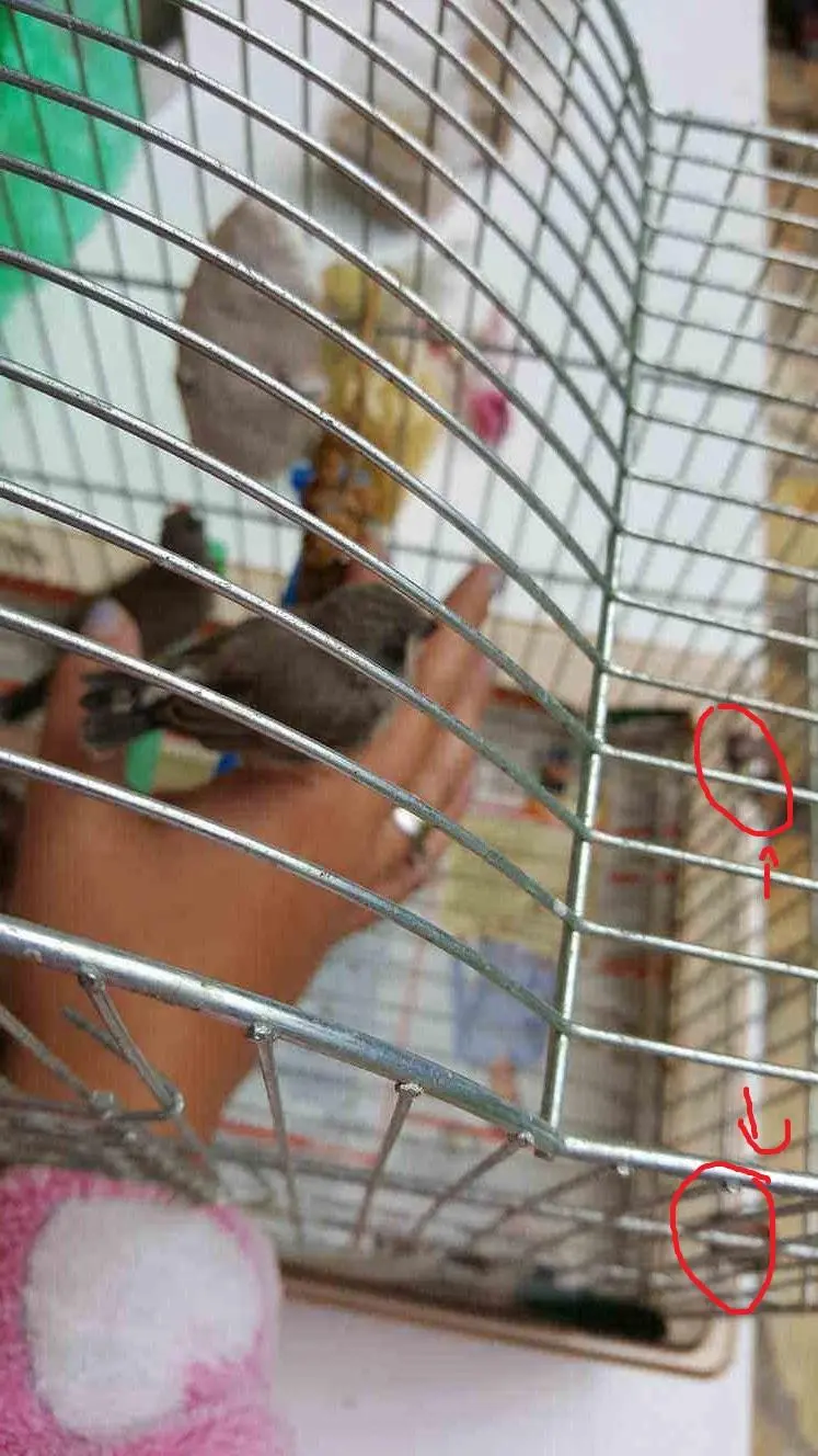 Συνημμένη εικόνα 46149