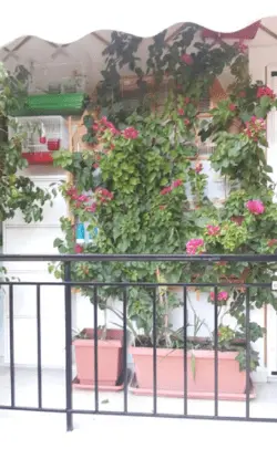 Συνημμένη εικόνα 46192
