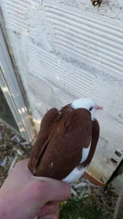 Συνημμένη εικόνα 46752
