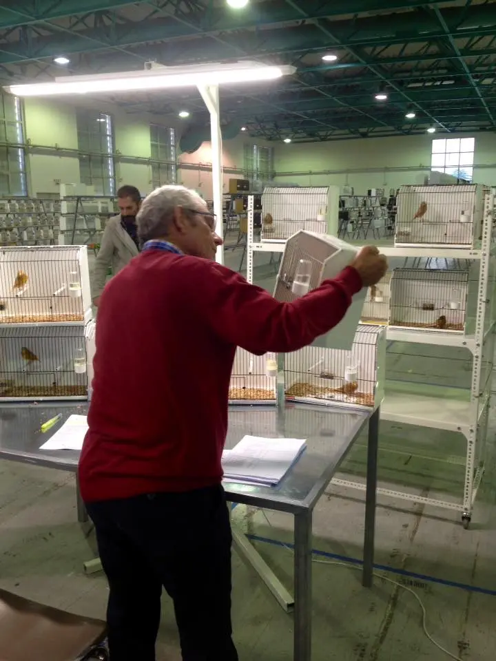 Συνημμένη εικόνα 46860