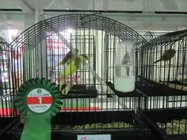 Συνημμένη εικόνα 46957