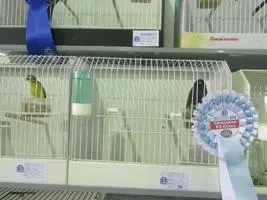 Συνημμένη εικόνα 46958