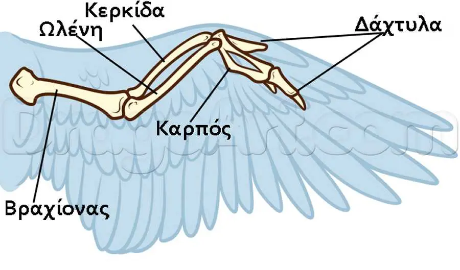 Συνημμένη εικόνα 47190