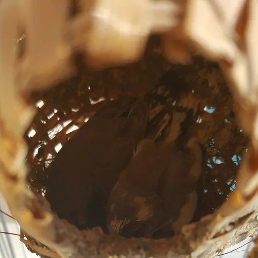Συνημμένη εικόνα 47230