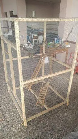 Συνημμένη εικόνα 47373