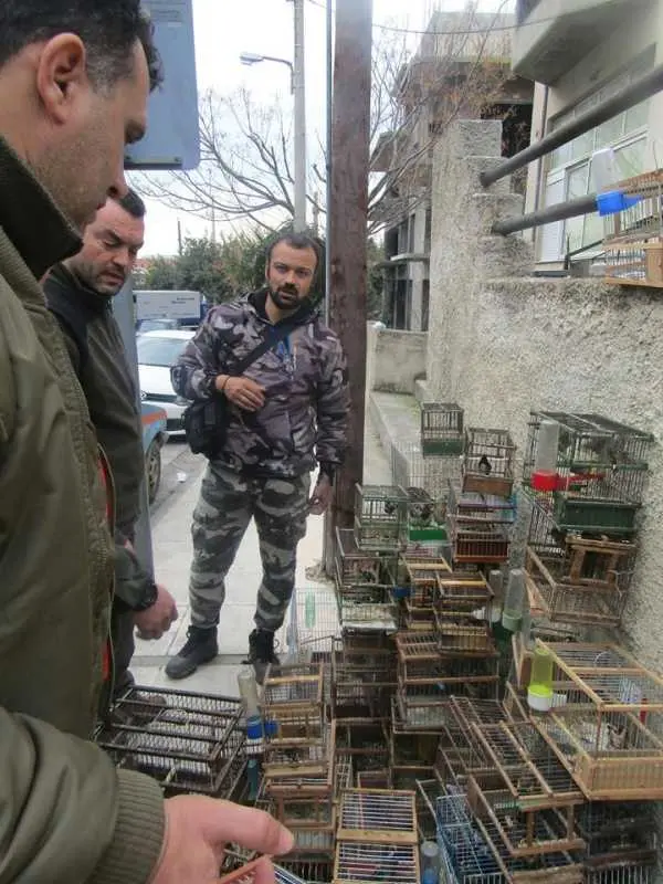 Συνημμένη εικόνα 48296