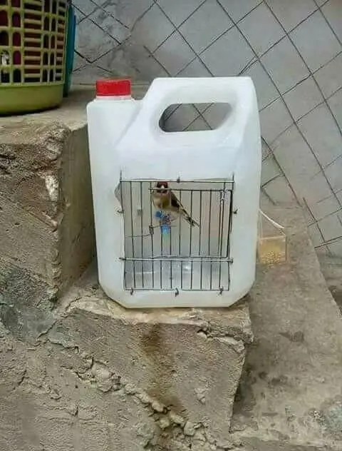 Συνημμένη εικόνα 48467