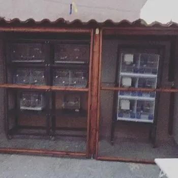 Συνημμένη εικόνα 48781