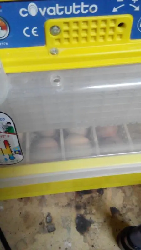 Συνημμένη εικόνα 49160