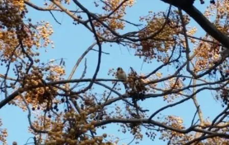 Συνημμένη εικόνα 49226