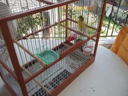 Συνημμένη εικόνα 49375
