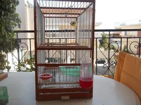 Συνημμένη εικόνα 49376