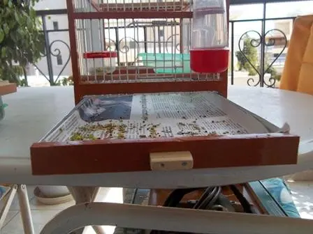 Συνημμένη εικόνα 49378