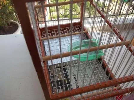 Συνημμένη εικόνα 49381