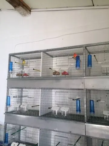 Συνημμένη εικόνα 49509