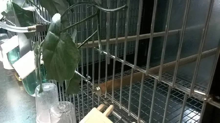 Συνημμένη εικόνα 49690