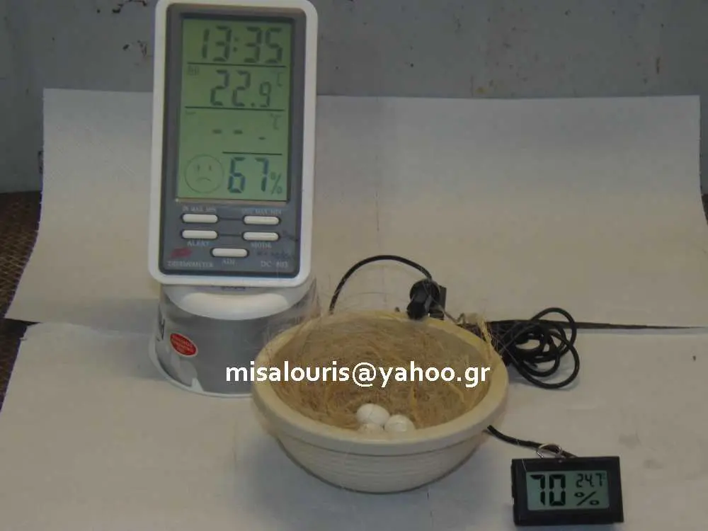 Συνημμένη εικόνα 49953