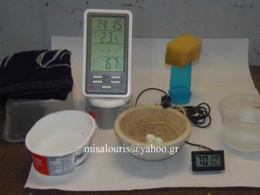 Συνημμένη εικόνα 49954